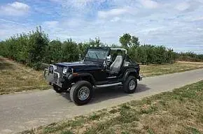 Gebraucht Jeep Wrangler 178 PS (130 kW) 1991 Schwarz SUV