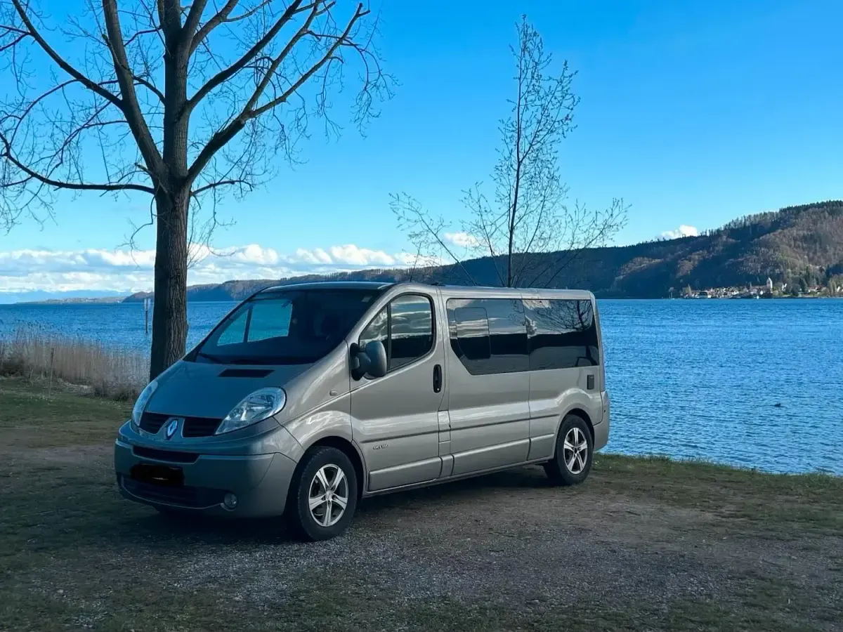 Gebraucht Renault Trafic 145 PS (106 kW) 2011 Grau Van / Kleinbus