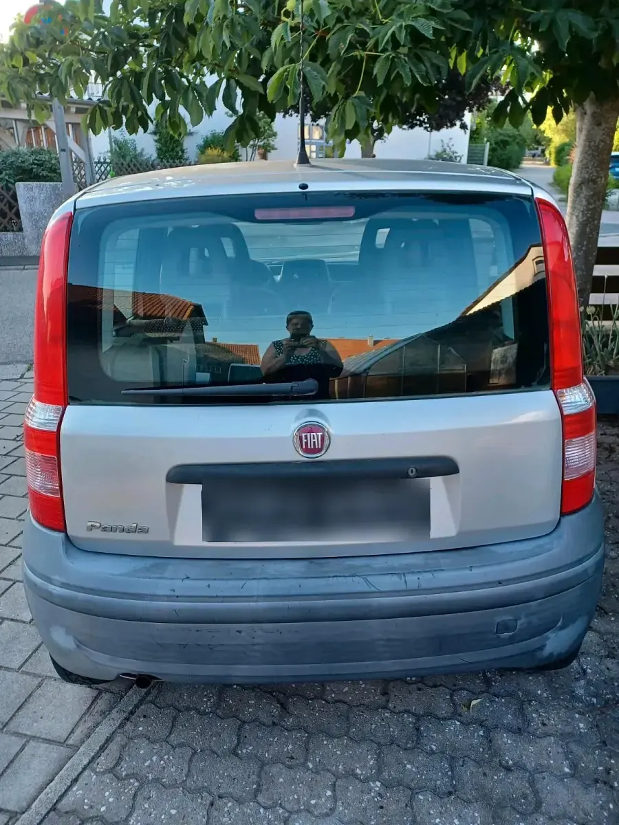 Gebraucht Fiat Panda 54 PS (39 kW) 2009 Grau Kleinwagen
