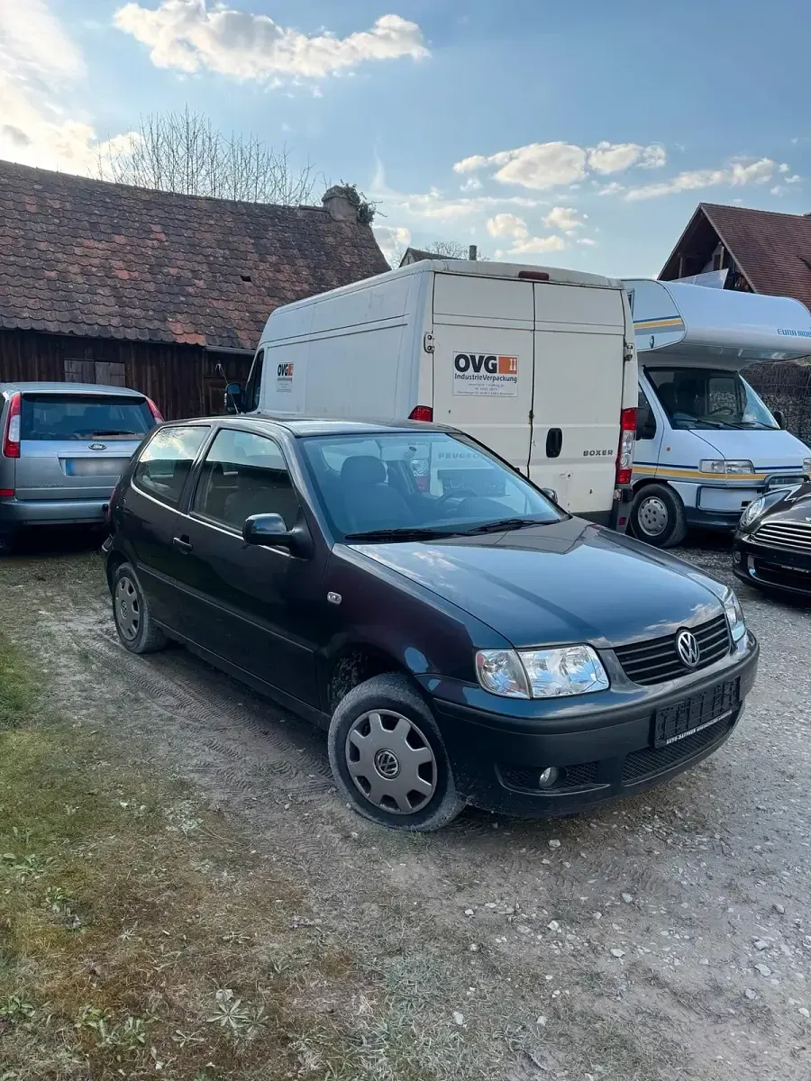 Usata VW Polo 60 CV (44 kW) 2001 Utilitaria