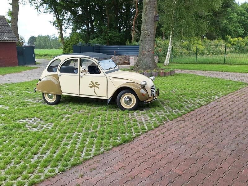 Beige Gebraucht 1989 Citroën 2CV Cabrio | 14.500 € - Bild 1/4