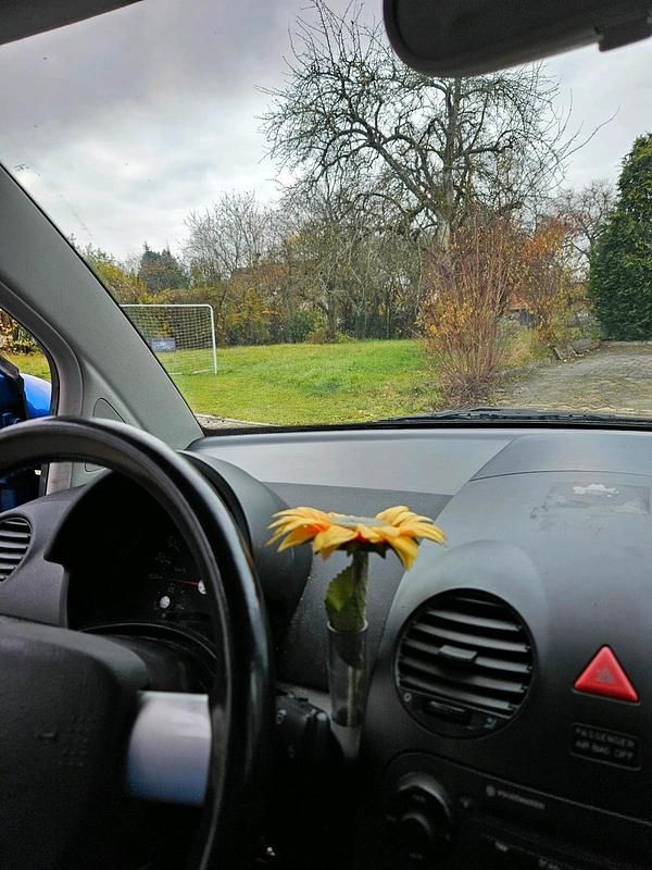 Gebraucht VW New Beetle 105 PS (77 kW) 2004 Blau Kleinwagen