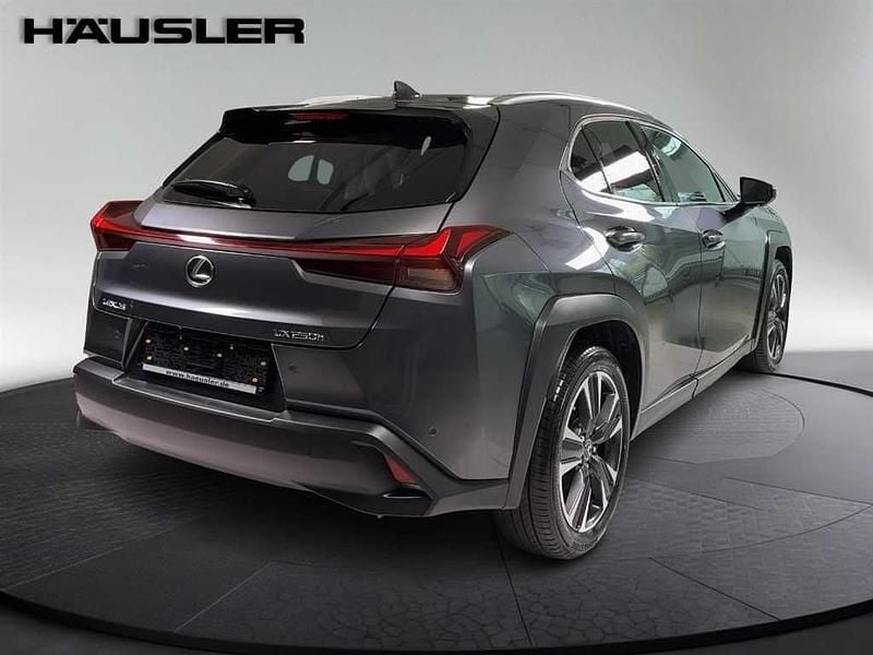 Gebraucht Lexus UX 250h 152 PS (111 kW) 2023 Grau SUV