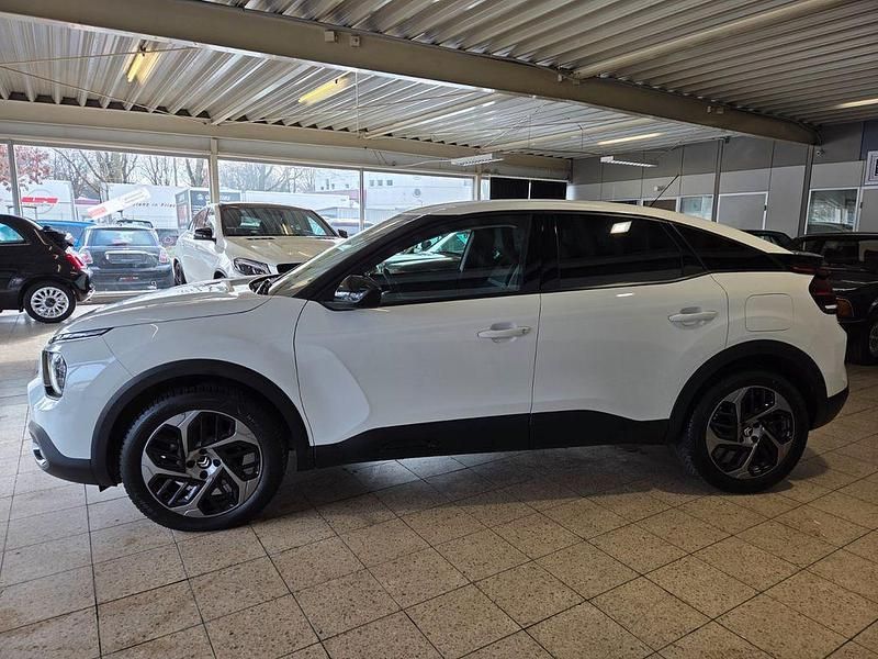 Gebraucht Citroën C4 Feel 131 PS (96 kW) 2023 Blanc banquise SUV