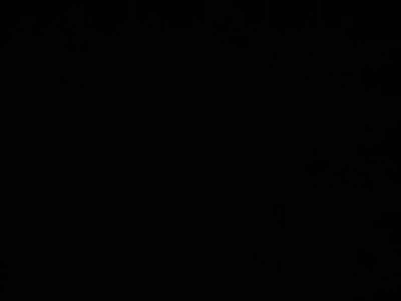 Gebraucht Ford Ranger Raptor 288 PS (211 kW) 2024 Lightning blue Pickup