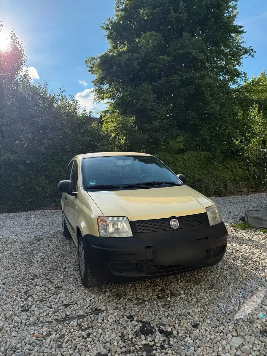 Używany Fiat Panda 54 KM (39 kW) 2010 Żółty Hatchback