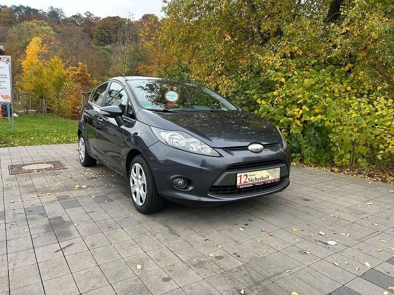Gebraucht Ford Fiesta Trend 82 PS (60 kW) 2010 Grau Kleinwagen