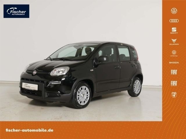 Schwarz Neu 2024 Fiat Panda Kleinwagen | 14.980 € (Fairer Preis) - Bild 1/4