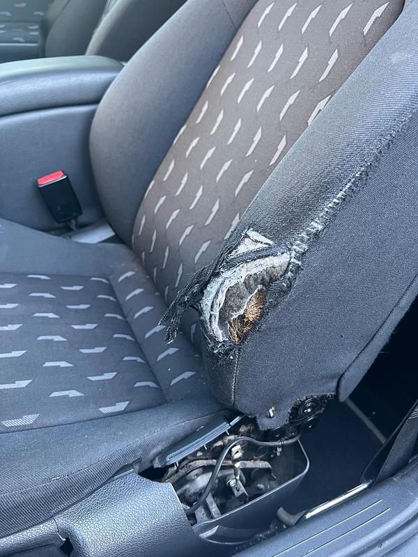 Gebraucht Mercedes C220 143 PS (105 kW) 2003 Schwarz Coupé