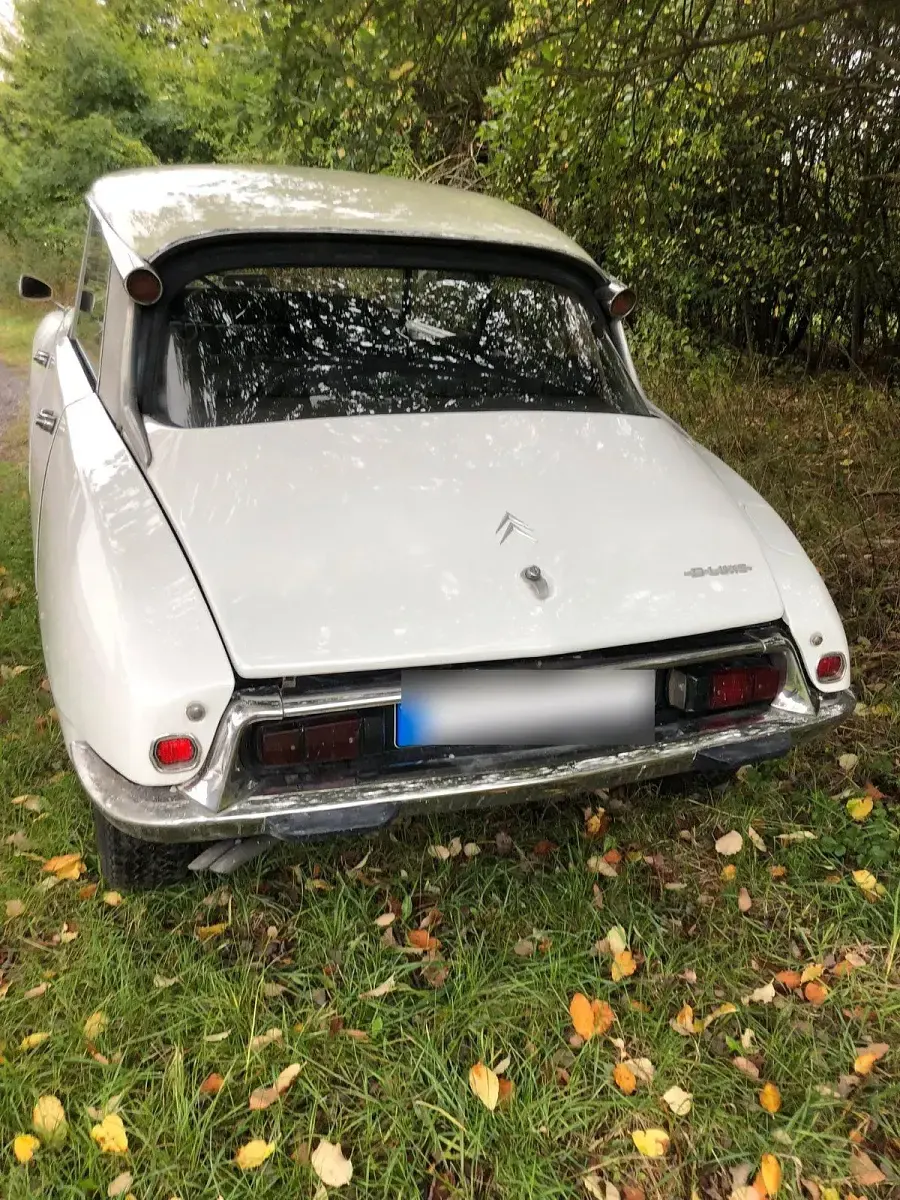 Gebraucht Citroën DS 78 PS (57 kW) 1969 Weiß Limousine
