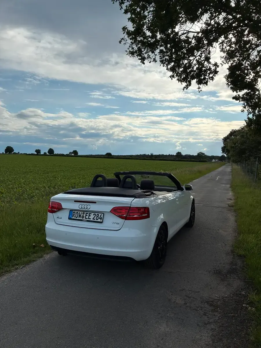 Gebraucht Audi A3 Cabriolet 160 PS (117 kW) 2011 Weiß Cabrio