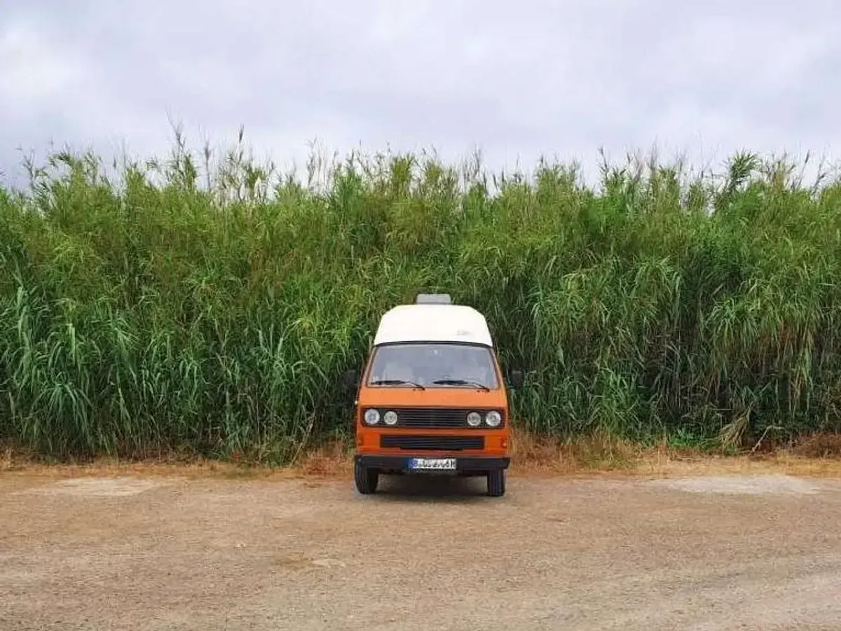 Gebraucht VW T3 50 PS (36 kW) 1986 Orange Van