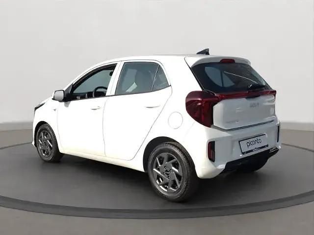 Neu Kia Picanto Vision 50 PS (36 kW) 2025 Weiß Kleinwagen