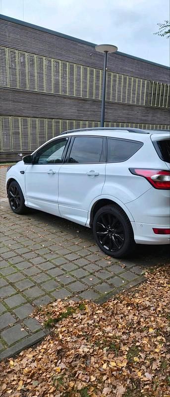 Gebraucht Ford Kuga ST-Line 150 PS (110 kW) 2019 Weiß SUV