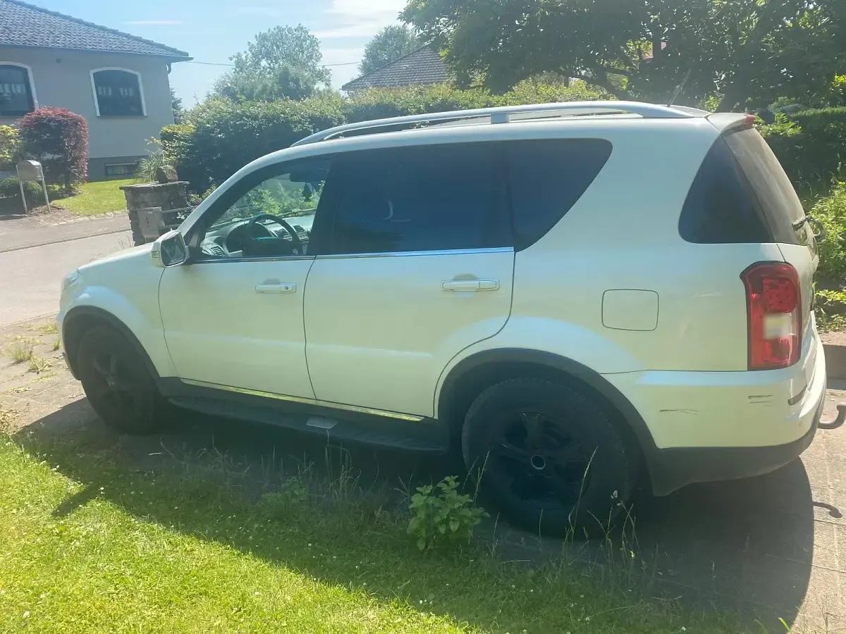 Gebraucht SsangYong Rexton 150 PS (110 kW) 2014 Weiß SUV