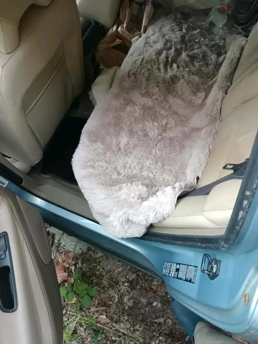 Gebraucht Volvo V70 170 PS (125 kW) 2001 Blau Kombi