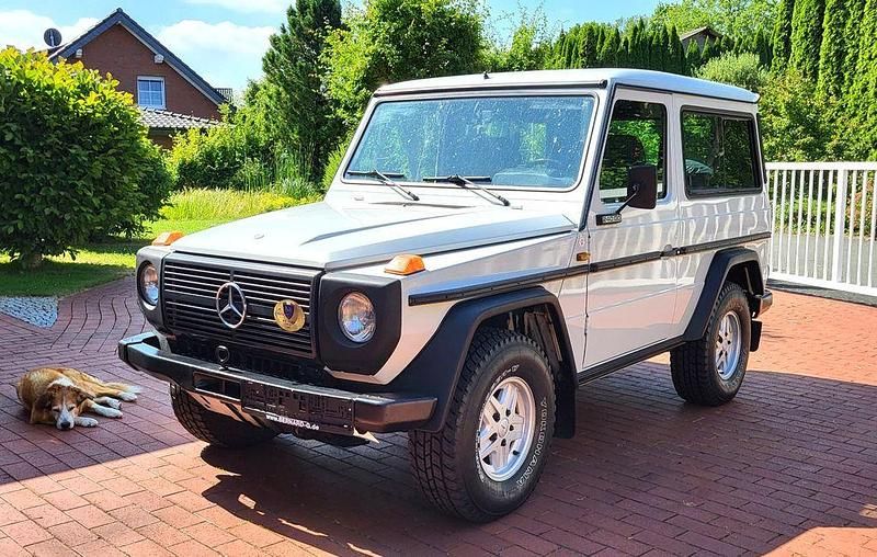 Classicweiß Gebraucht 1984 Mercedes G240 SUV | 49.999 € - Bild 1/4