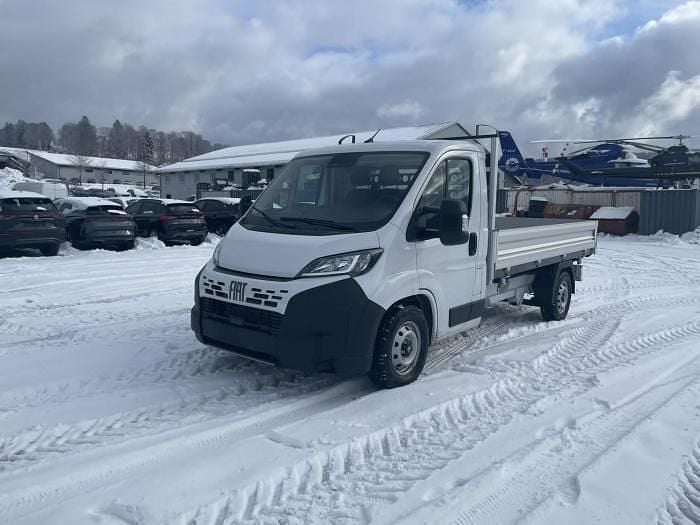 Gebraucht Fiat Ducato 140 PS (102 kW) 2024 Weiß, colore esterno (weiss (pastell)) (colest549) Van