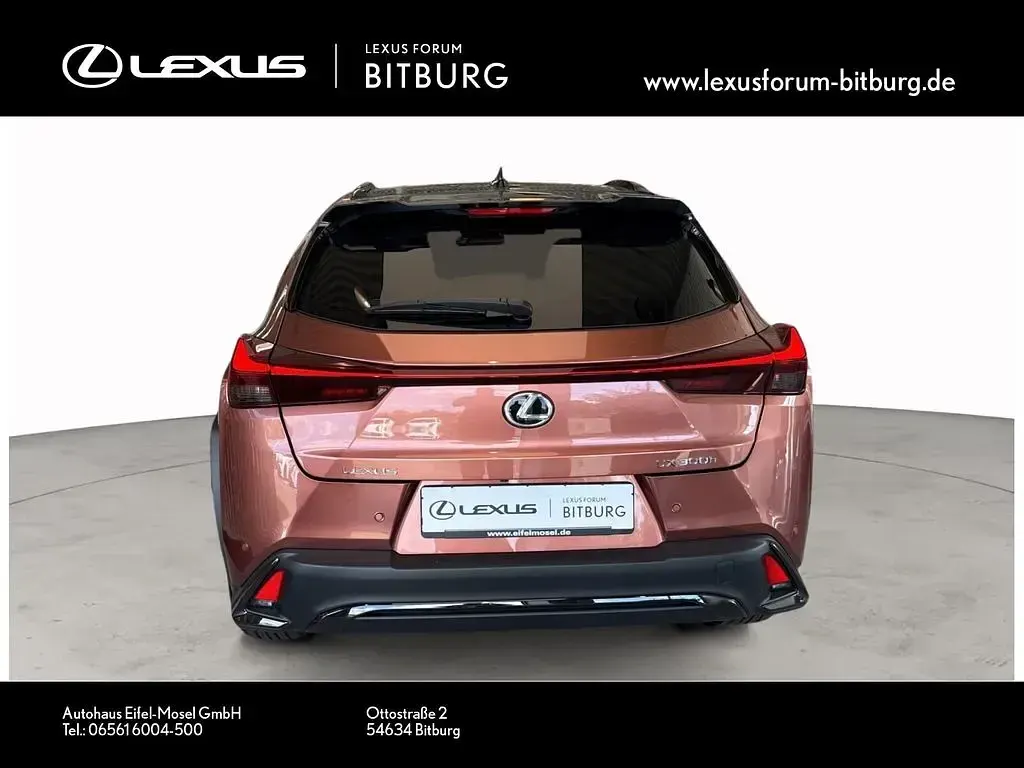 Neu Lexus UX 300h Sport Design Packet 199 PS (146 kW) 2026 Rot SUV