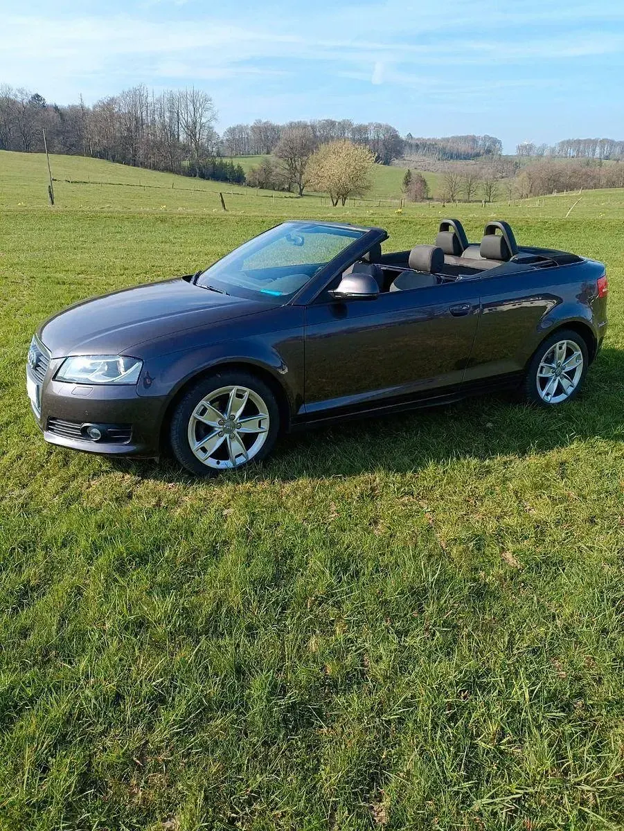 Gebraucht Audi A3 Cabriolet Sport 160 PS (117 kW) 2009 Grau Cabrio