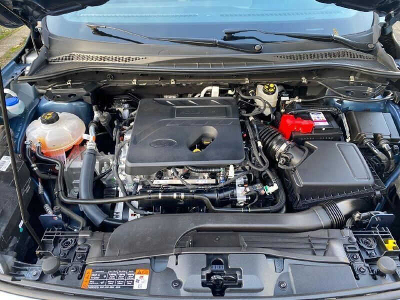 Gebraucht Ford Kuga ST-Line X 150 PS (110 kW) 2021 Blau SUV