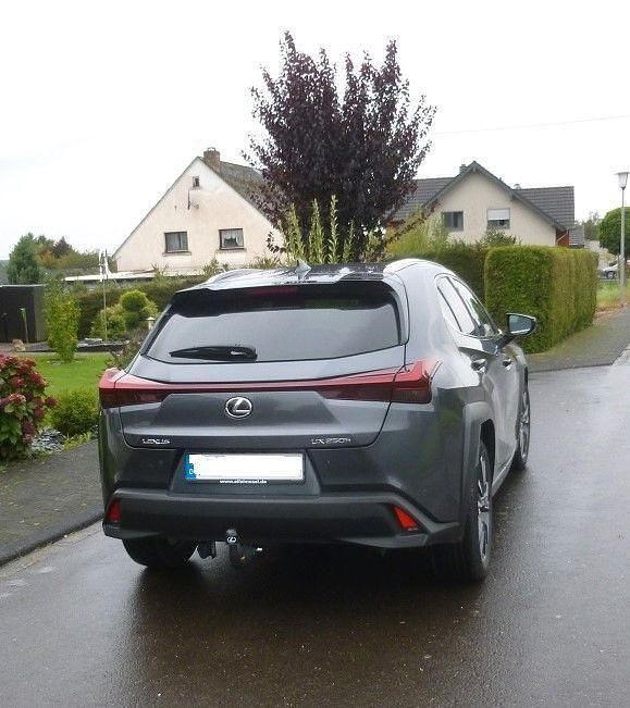 Gebraucht Lexus UX 250h 2023 Grau SUV