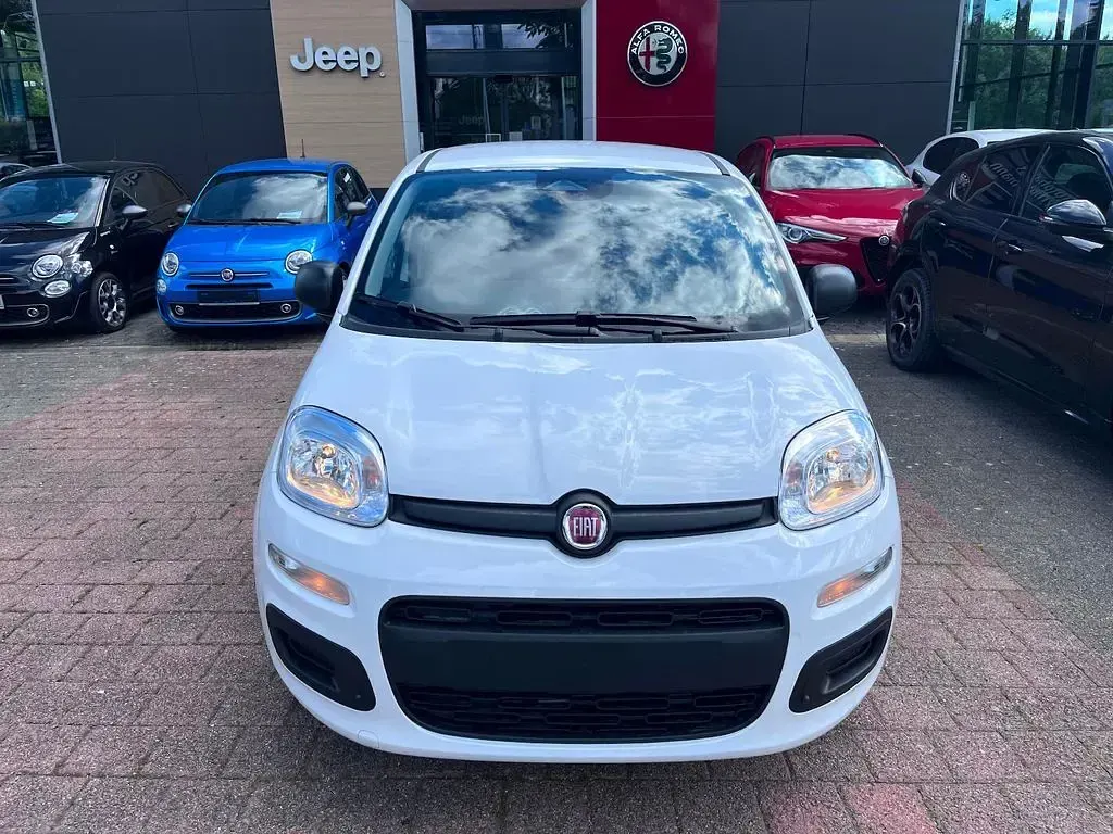 Neu Fiat Panda 65 PS (47 kW) 2026 Weiß Kleinwagen