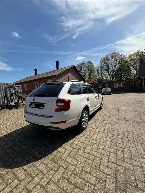 Usata Skoda Octavia Ambition 150 CV (110 kW) 2013 Bianco Station wagon