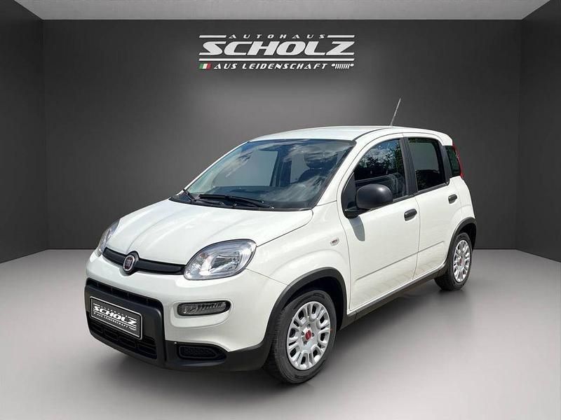 Gebraucht Fiat Panda 69 PS (50 kW) 2024 Gelato weiß Kleinwagen