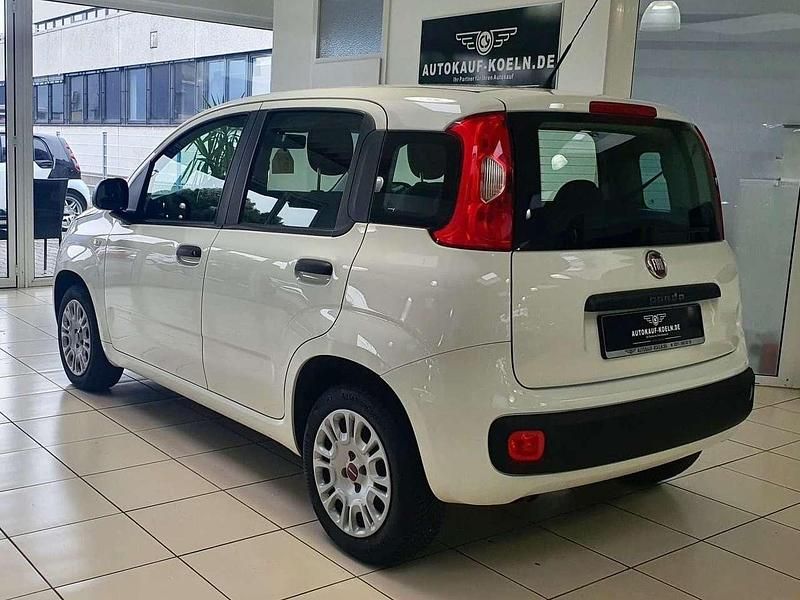 Gebraucht Fiat Panda Easy 69 PS (50 kW) 2019 Weiß Kleinwagen