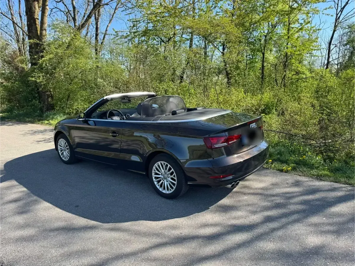 Gebraucht Audi A3 Cabriolet Ambiente 150 PS (110 kW) 2015 Braun Cabrio