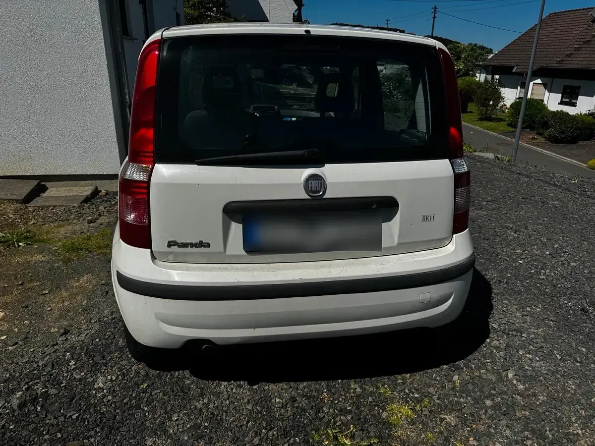 Gebraucht Fiat Panda 2009 Weiß Kleinwagen