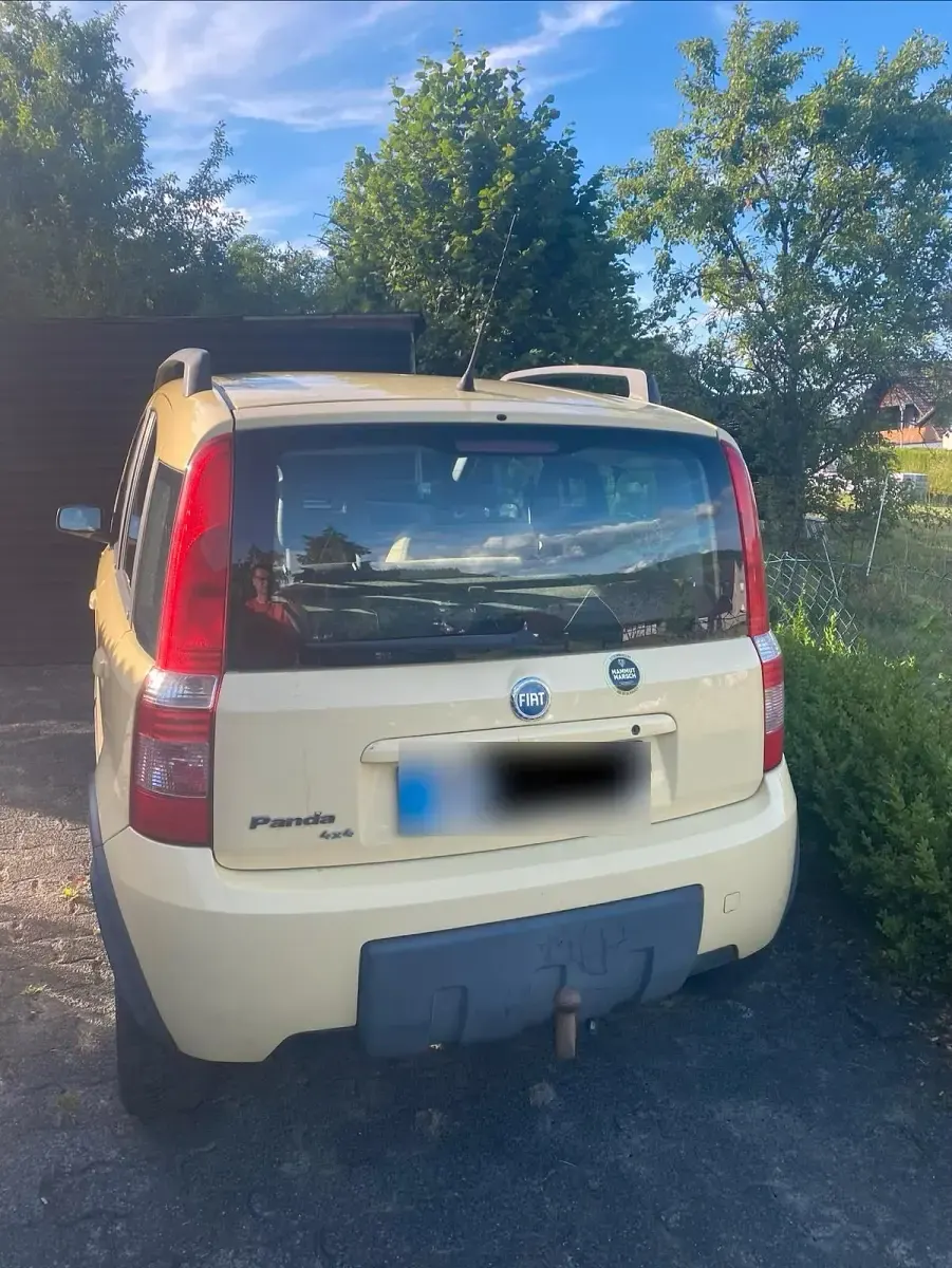 Gebraucht Fiat Panda 4x4 60 PS (44 kW) 2006 Gelb Kleinwagen