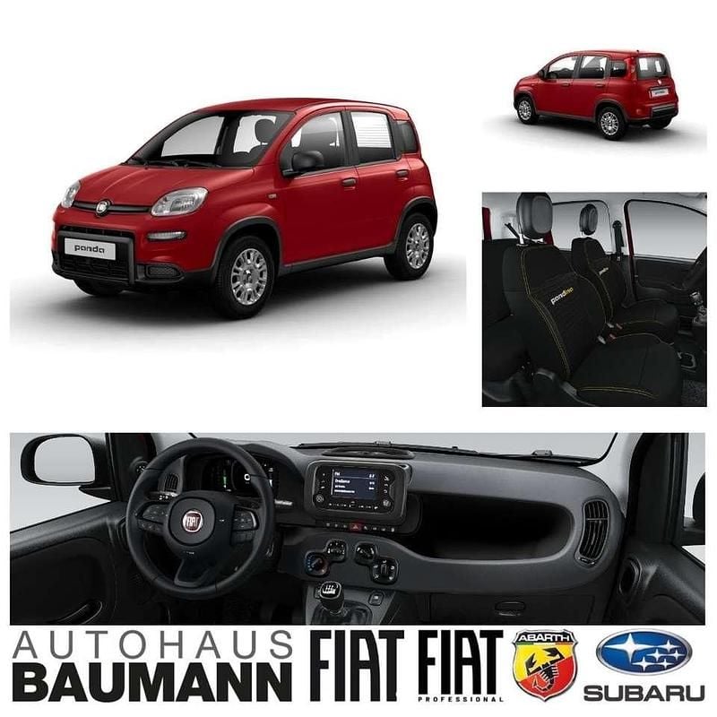 Neu Fiat Panda Icon 65 PS (47 kW) 2026 Passione rot (414) Kleinwagen