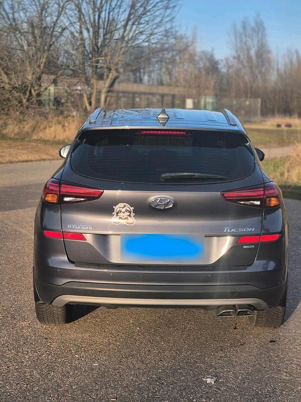 Gebraucht Hyundai Tucson 176 PS (129 kW) 2019 Grau SUV