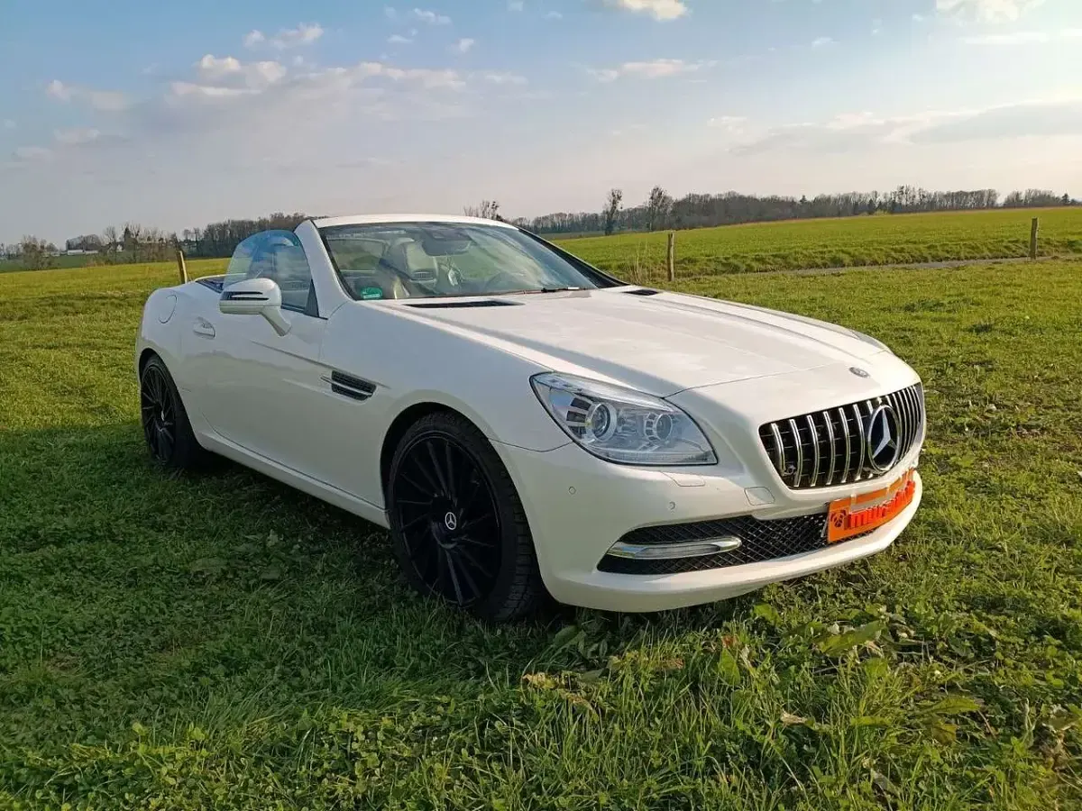 Gebraucht Mercedes SLK250 204 PS (150 kW) 2011 Weiß Cabrio