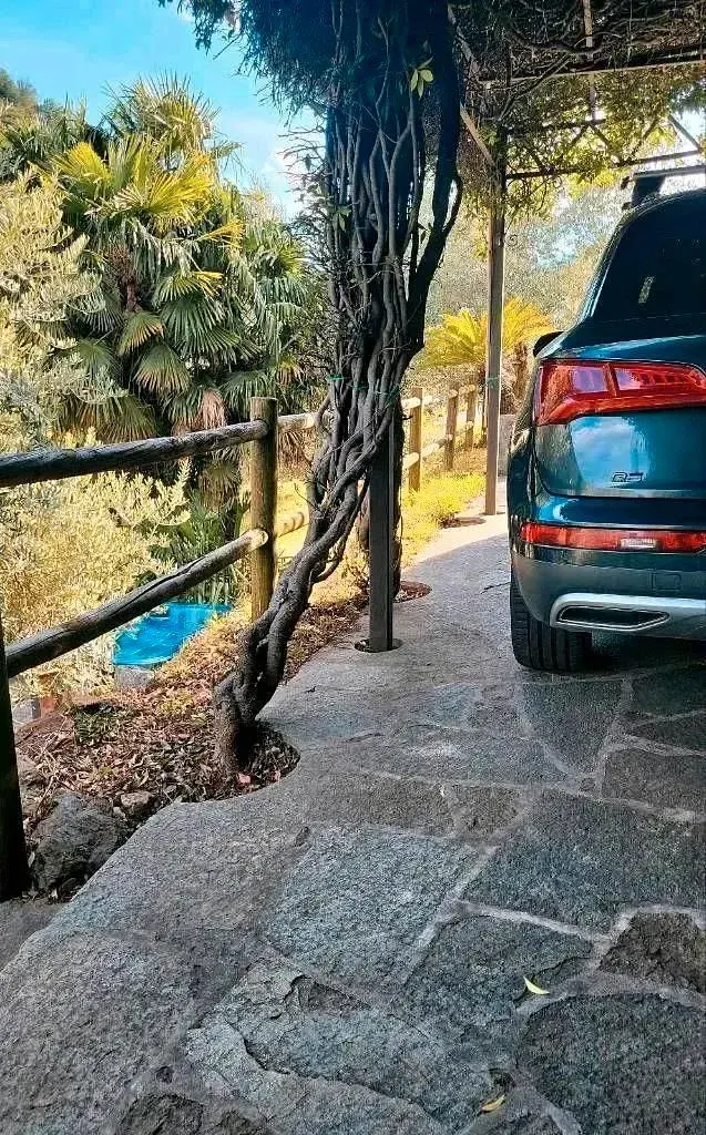 Gebraucht Audi Q5 245 PS (180 kW) 2019 SUV