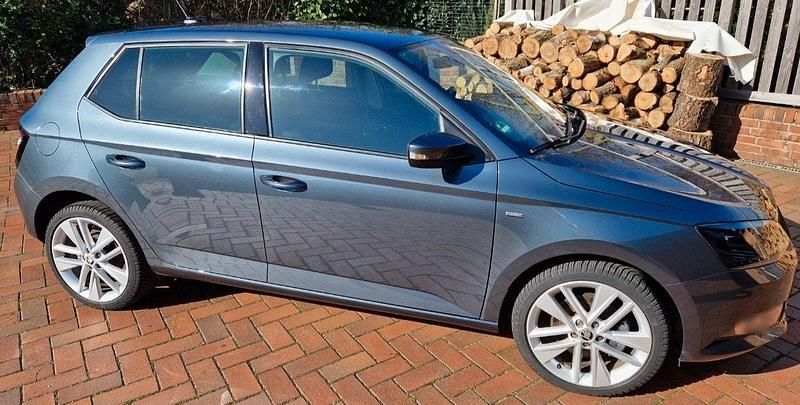 Gebraucht Skoda Fabia Drive 110 PS (80 kW) 2018 Grau Kleinwagen