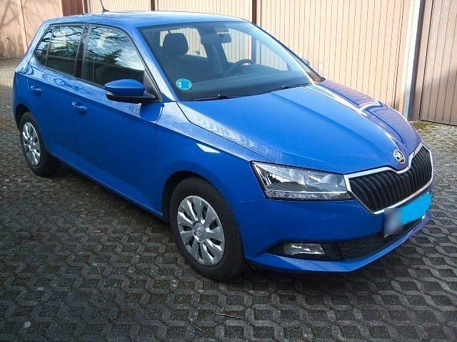 Gebraucht Skoda Fabia Active 60 PS (44 kW) 2019 Blau Kleinwagen