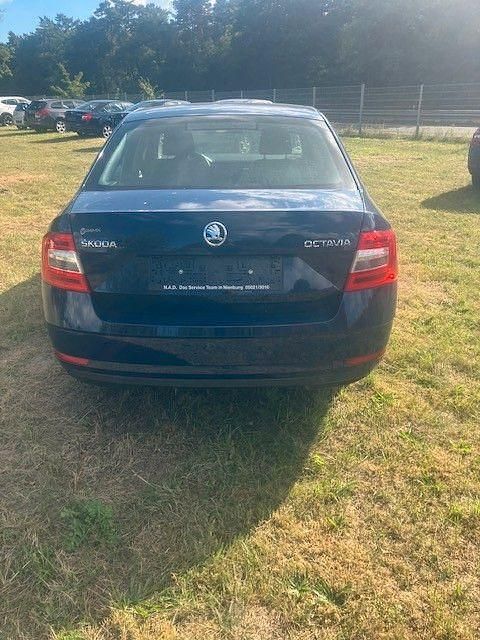 Gebraucht Skoda Octavia Drive 150 PS (110 kW) 2017 Blau Limousine