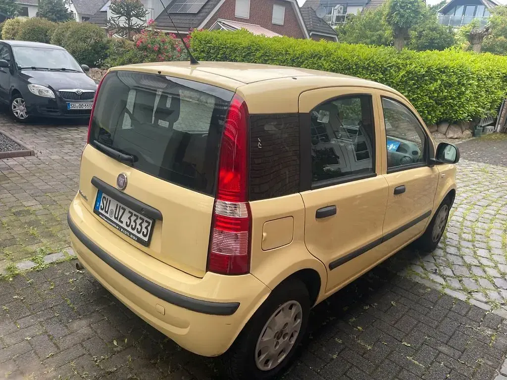 Gebraucht Fiat Panda 69 PS (50 kW) 2012 Gelb Kleinwagen