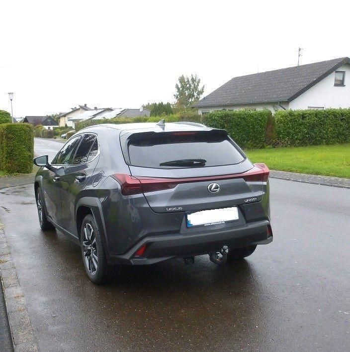 Gebraucht Lexus UX 250h 2023 Grau SUV