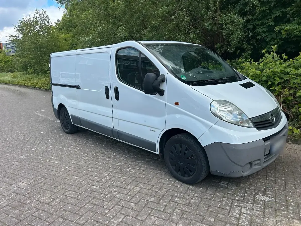Gebraucht Opel Vivaro 114 PS (83 kW) 2015 Weiß Van / Kleinbus