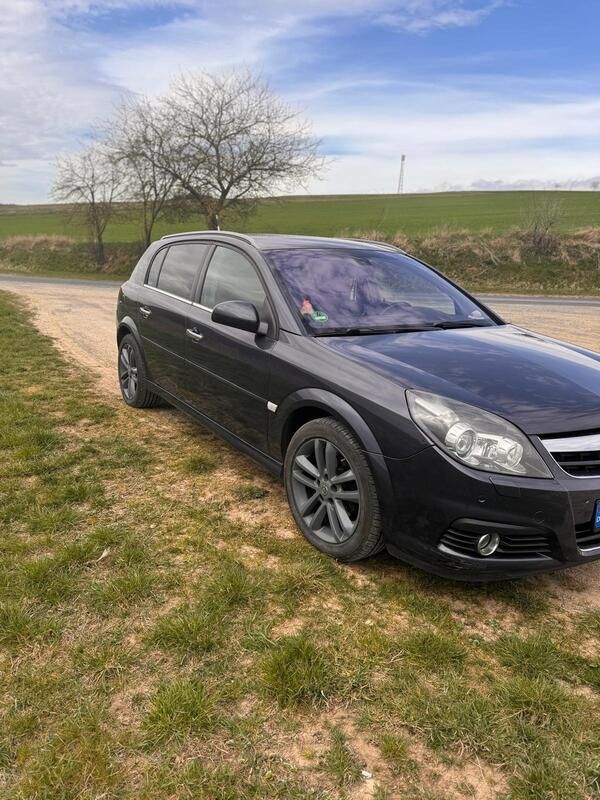 Blau Gebraucht 2007 Opel Signum Kombi | 1.000 € (Superpreis) - Bild 1/4