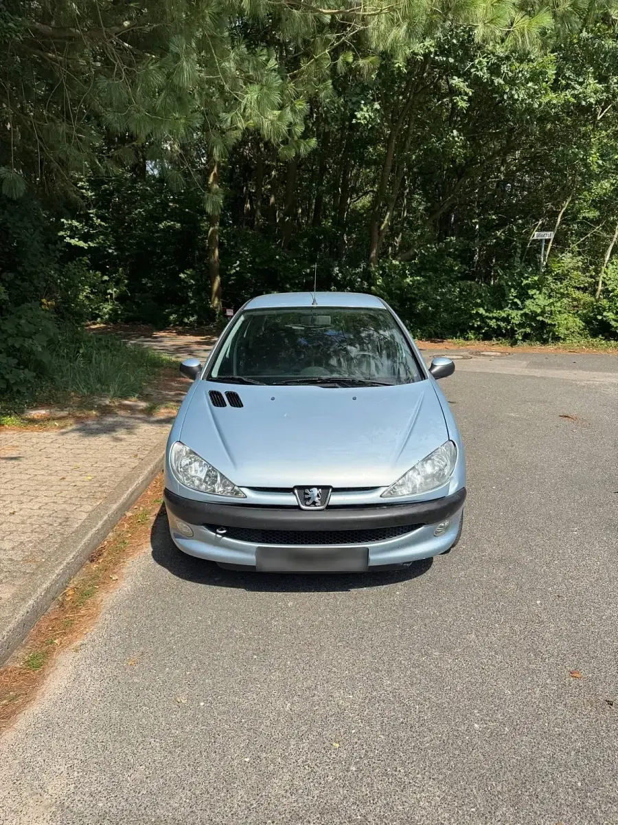 Gebraucht Peugeot 206 61 PS (44 kW) 2004 Blau Kleinwagen