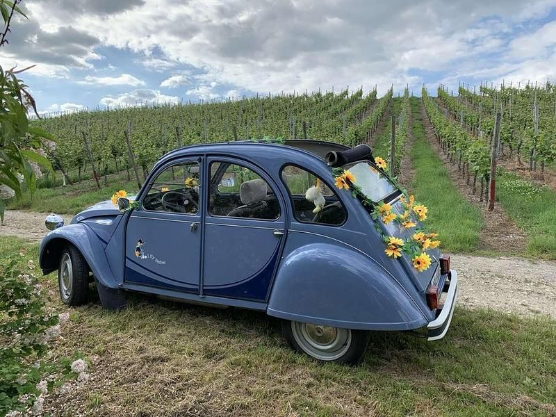 Gebraucht Citroën 2CV 27 PS (19 kW) 1989 Blau Limousine
