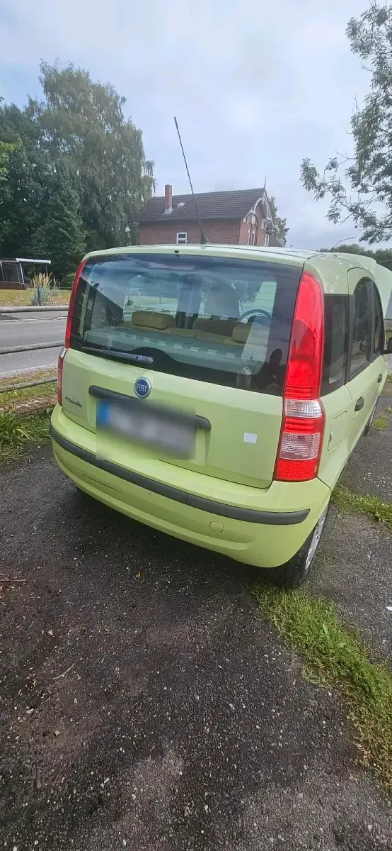Gebraucht Fiat Panda 60 PS (44 kW) 2003 Grün Kleinwagen