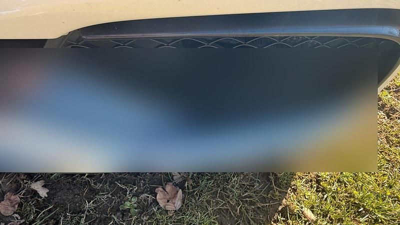 Gebraucht Mercedes E63S AMG 585 PS (430 kW) 2015 Weiß Kombi