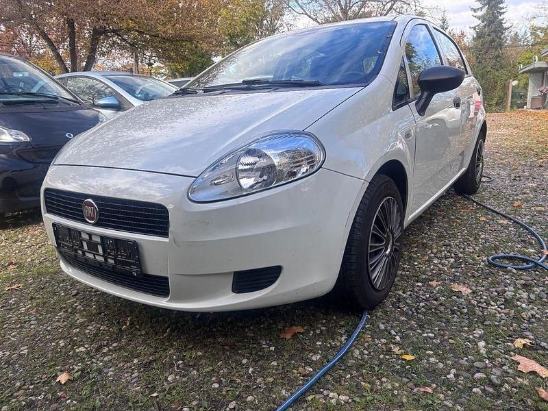 Gebraucht Fiat Punto Pop 69 PS (50 kW) 2013 Weiß Kleinwagen