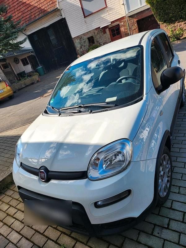 Gebraucht Fiat Panda 69 PS (50 kW) 2023 Weiß Kleinwagen